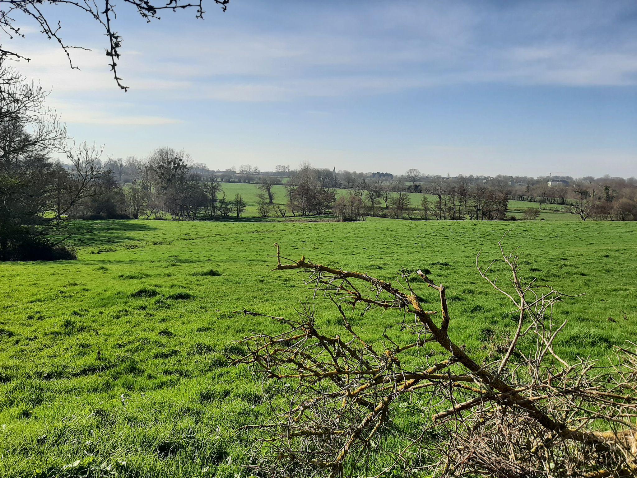 Paysage normand