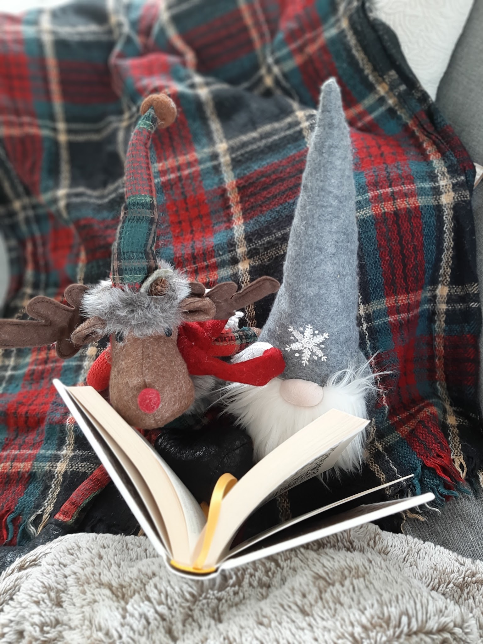 Cosy Noël